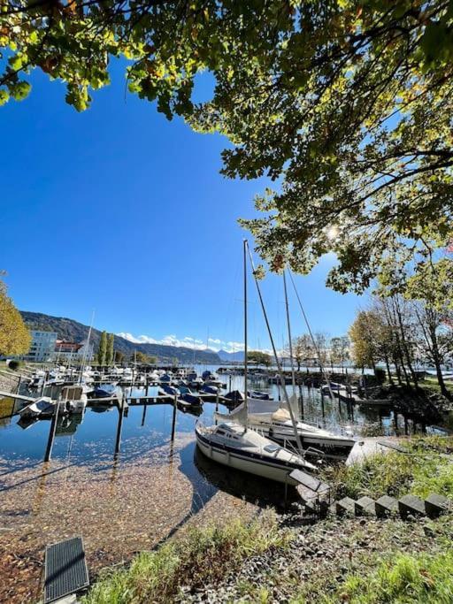 Apartment Bodensee Loft In Strandnaehe