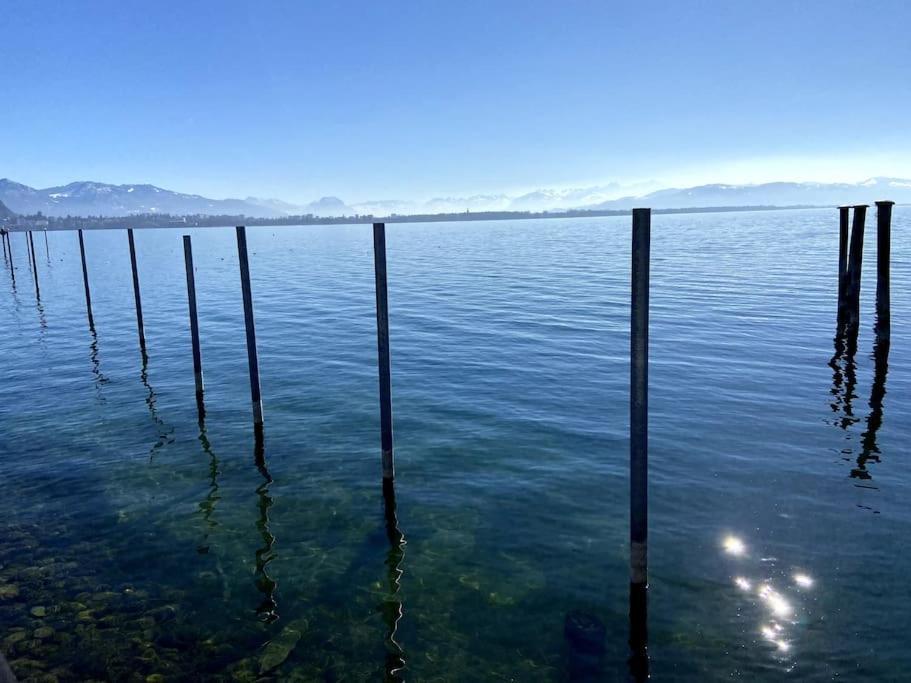 Bodensee Loft In Strandnaehe Apartment