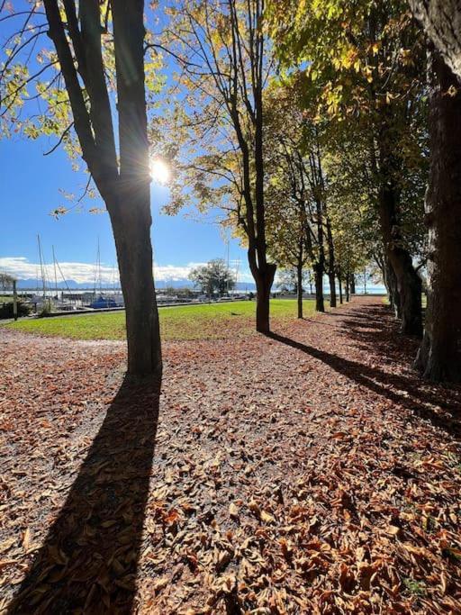 Apartment Bodensee Loft In Strandnaehe